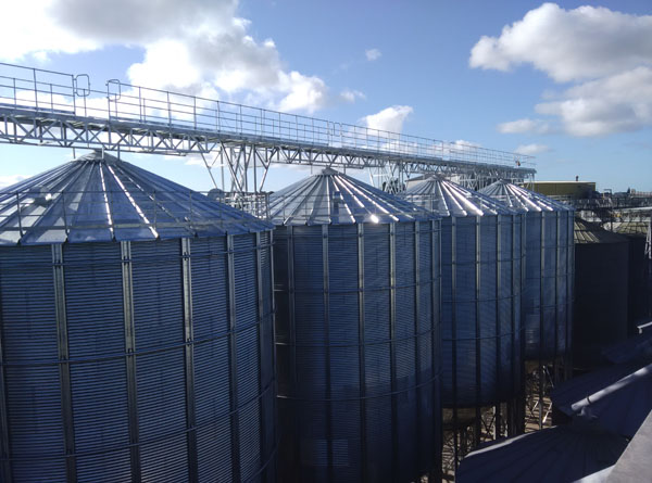 新西兰 5台1000t 小麦仓