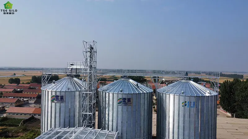 大型粮食钢板仓 大型粮食钢板仓