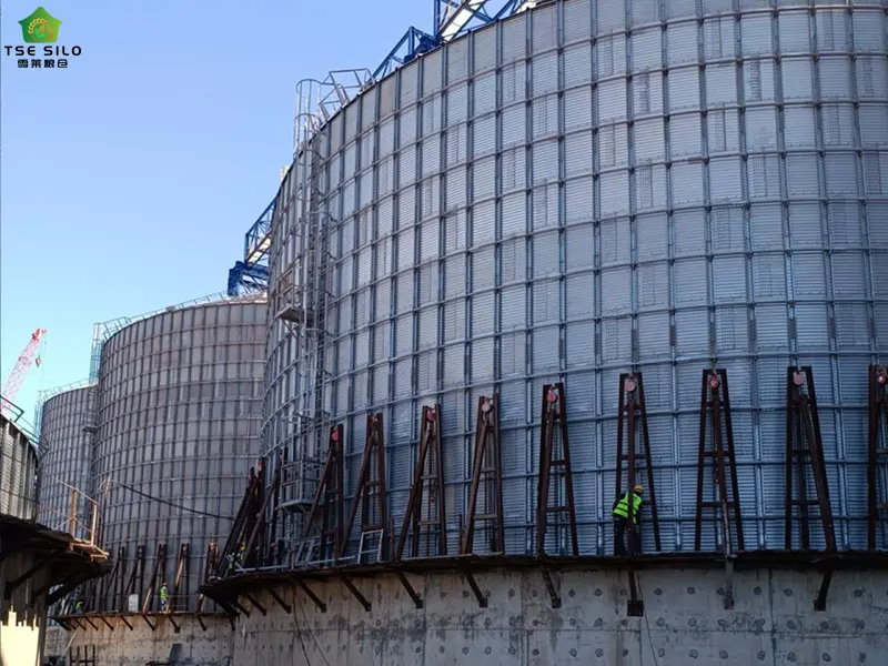 粮食钢板仓建设中 粮食钢板仓建设中